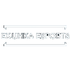 ex-UHKA eSports